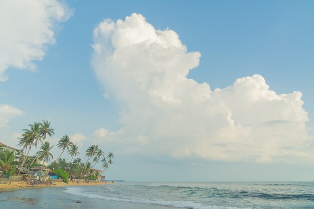 Palm trees on the shore of the Indian Ocean on the beach in Hikkaduwa, Sri Lanka.