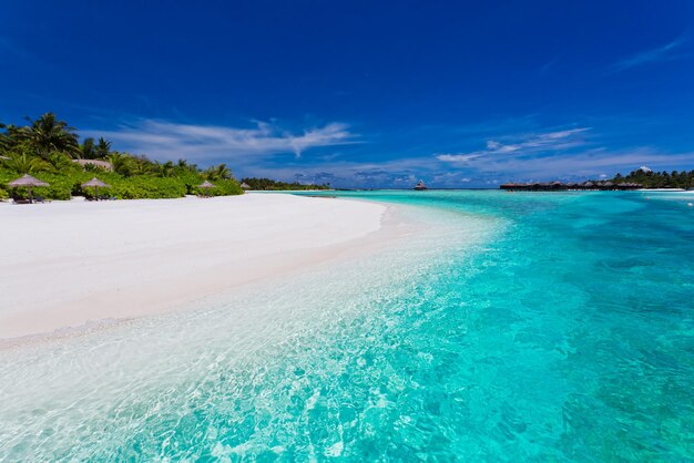 Foto palme sulla splendida laguna e sulla spiaggia bianca