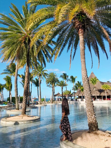 Palm trees in swimming pool