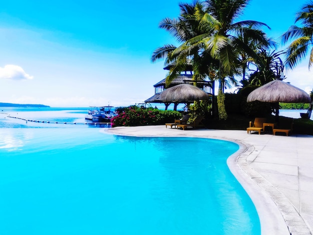 Palm trees on swimming pool