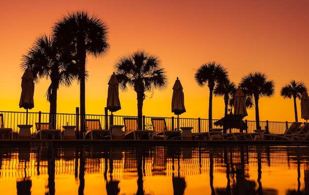 Palm trees and their reflection in the pool at sun set