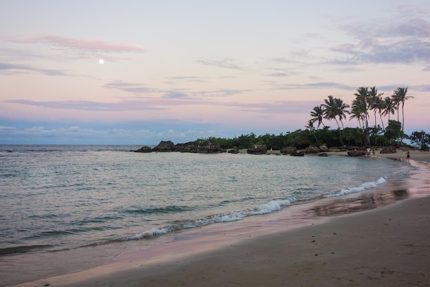 palm trees In Tropical Beach At colored Sunset moon on the sky