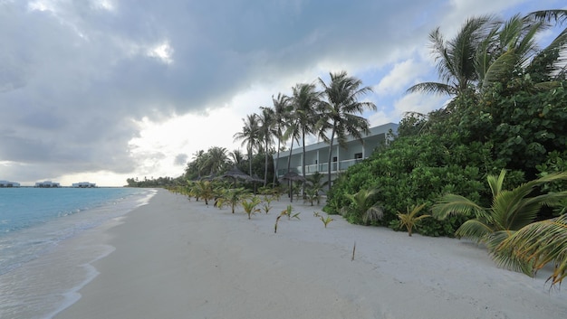 palm trees on white sand on a tropical island