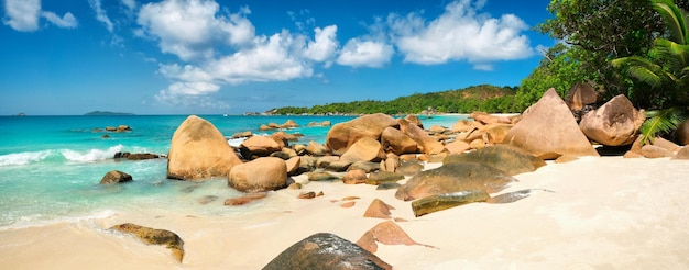 Palm and tropical beach panorama Anse Lazio beach at Praslin island Seychelles