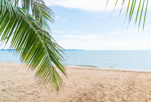 Palm and tropical beach at Pattaya in Thailand