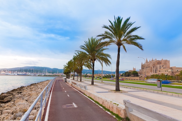 Palma de Mallorca-zonsondergang bij haven in Majorca