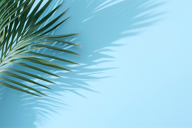Palmblaadjes op lichtblauwe muur Minimale abstracte achtergrond voor productpresentatie