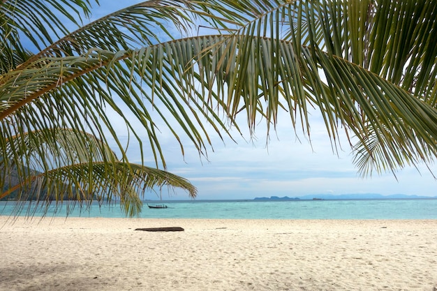 Palmbladen en wit zandstrand