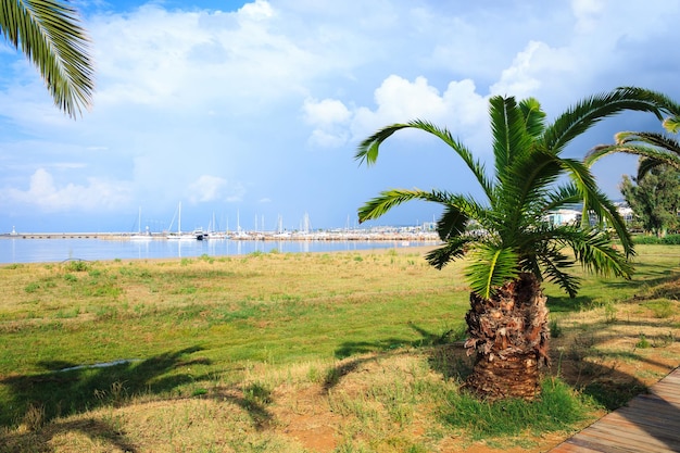 Palmbomen aan de oever van de mediterrane haven