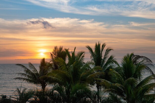 Foto palmbomen aan zee tegen de romantische hemel bij zonsondergang