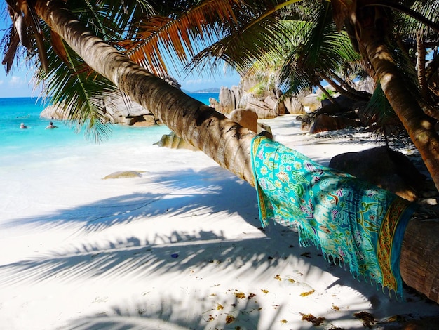 Foto palmbomen bij het zwembad aan het strand