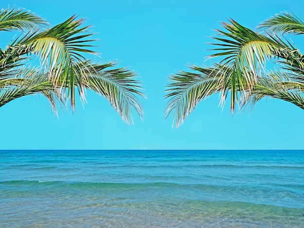 Palmbomen boven een turquoise zee