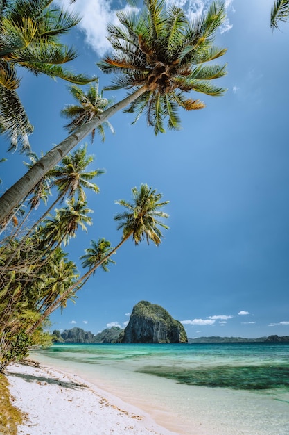 Palmbomen in windbries Zandstrand met prachtig tropisch eiland op de achtergrond Dromerig