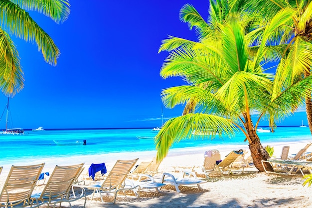 Palmbomen met ligstoelen op het Caribische tropische strand Saona Island Dominicaanse Republiek Vakantiereisachtergrond