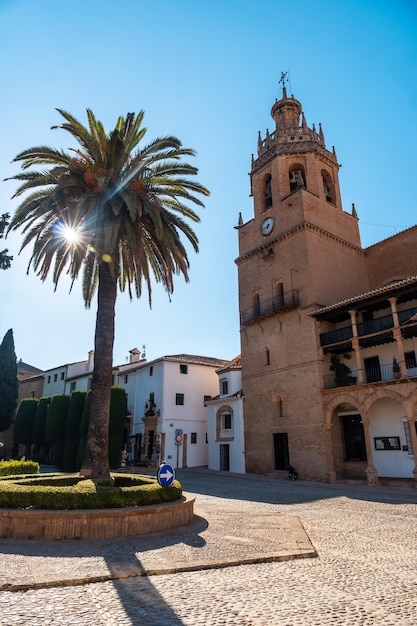 Palmbomen naast de kerk van Santa Maria la Mayor in het historische centrum van Ronda Malaga Andalusië