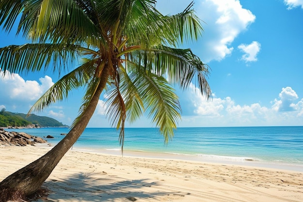 Palmbomen op een strand omringd