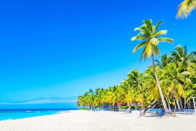 Palmbomen op het Caribische tropische strand