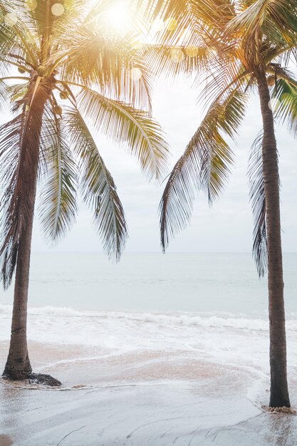 Palmbomen op het strand tegen de lucht