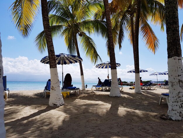 Foto palmbomen op het strand tegen de lucht