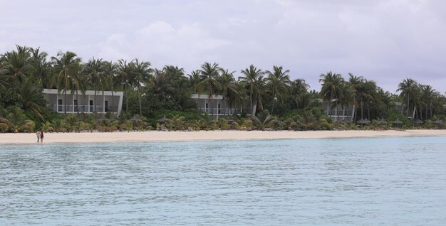 palmbomen op wit zand op een tropisch eiland