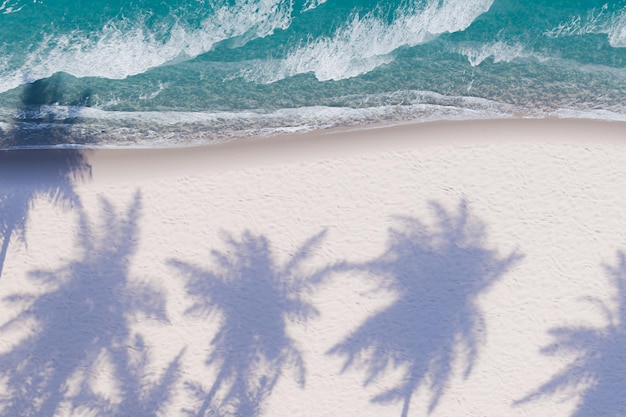 Palmbomen schaduwen op een wit zandstrand bij de turquoise zee