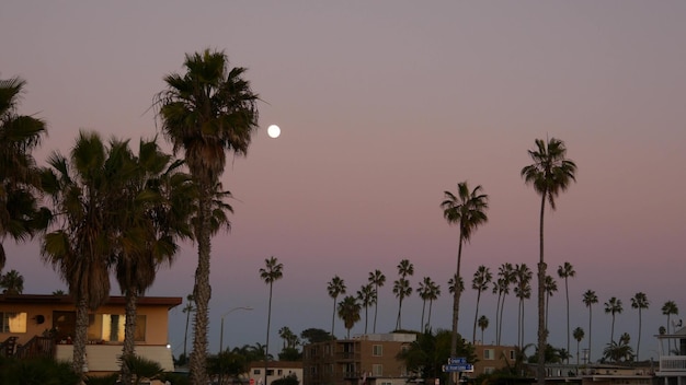Palmbomen silhouetten en volle maan in twilight sky Californië strandhuizen