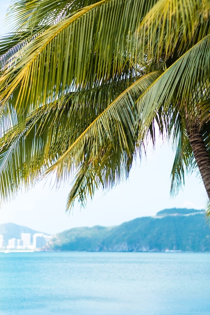 Palmbomen takken en blauwe lucht, turquoise zeewater in een zonnige zomerdag