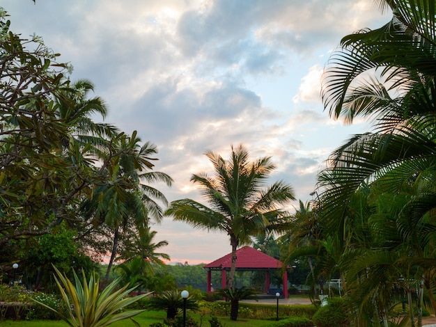 Palmbomen tegen de blauwe lucht met wolken