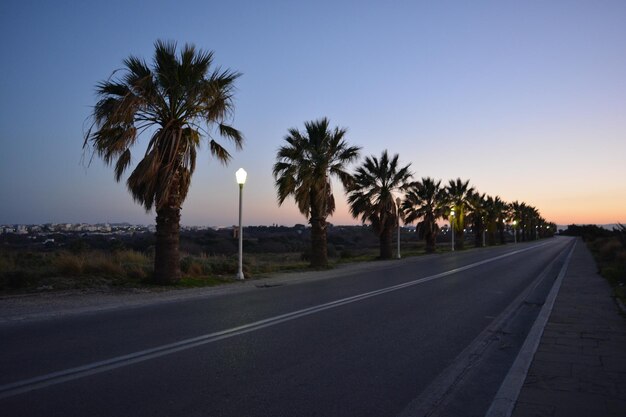 Foto palmbomen tegen de hemel bij zonsondergang