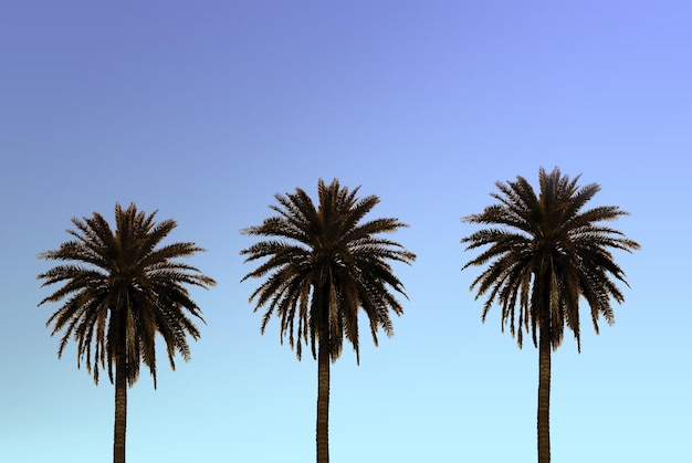 Palmbomen tegen een blauwe lucht