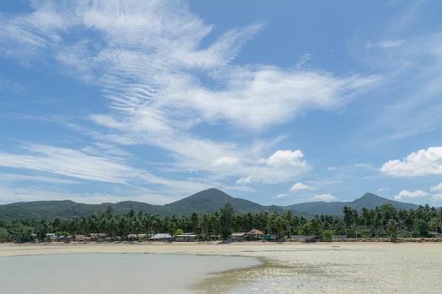 Palmboom, kokosnootboom op een wit zandstrand op het tropische paradijs eiland Koh Phangan