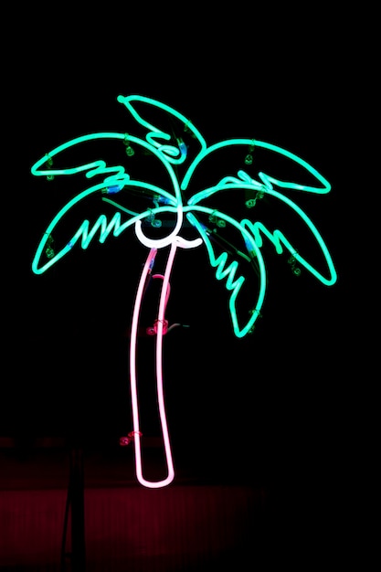 Palmboom neonlicht