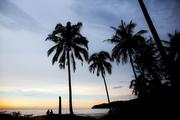 Foto palmboom op strand met silhouet