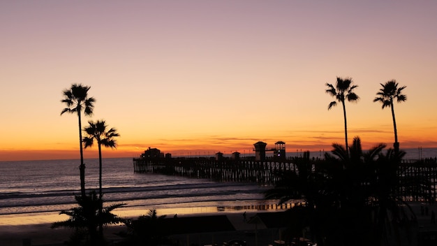 Palmen en schemeringhemel in Californië de V.S. Tropische oceaan strand zonsondergang sfeer. Los Angeles-vibes.