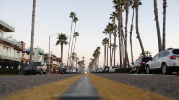 미국 캘리포니아주 로스앤젤레스의 야자수. 여름의 산타모니카와 베니스 해변. 하늘과 야자수.