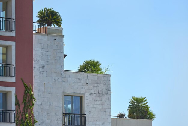 Palms and plants on the rooftop patio in europe