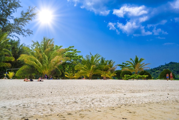 Palms and sand on Malibu Beach Koh Phangan island Suratthani