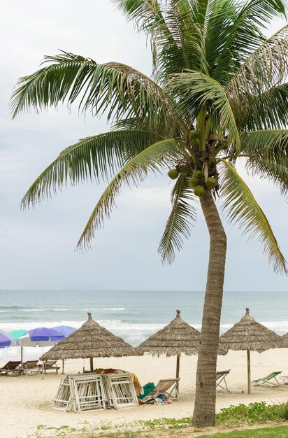 Palms and sunbeds at the China Beach in Da Nang, Vietnam. It is also called Non Nuoc Beach. South China Sea on the background.