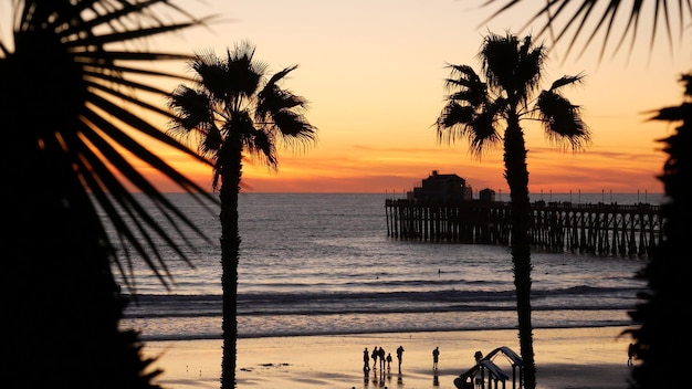 Palms and twilight sky in California USA. Tropical ocean beach sunset atmosphere. Los Angeles vibes.