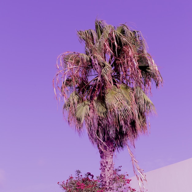 Foto palms of violet arte di viaggio di moda in stile minimale