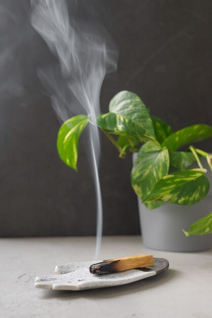 Palo santo rookt op een keramische plaat