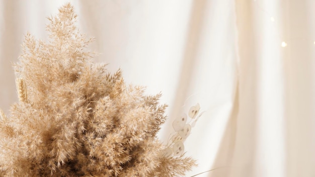 Photo pampas grass are collected in a bouquet for room decor bouquet of dried flowers