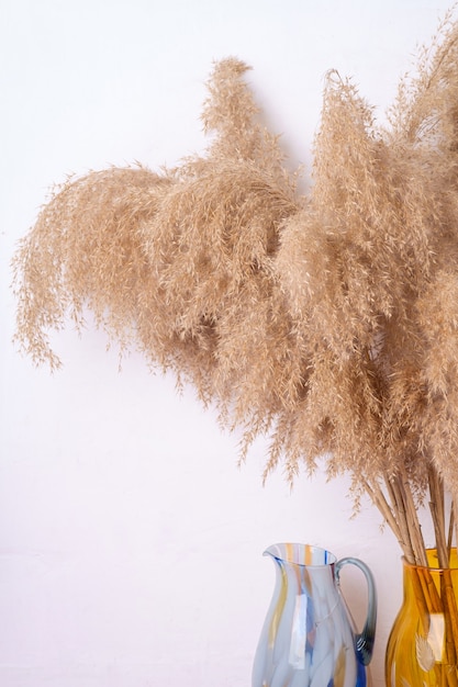 Pampas grass reeds in glass vase near to white wall, bohemian home interior decoration