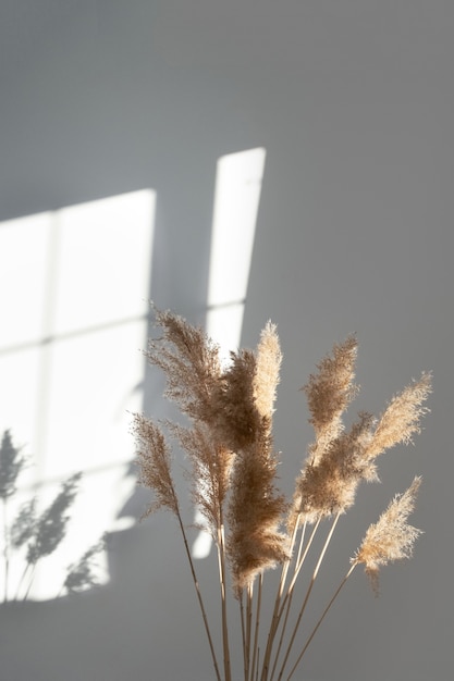 Pampas grass with neutral colors Reed Plume Stem Dried Pampas Grass Decorative Feather Flower