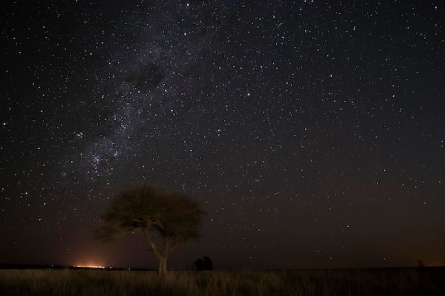 星空と夜に撮影されたパンパスの風景 ラ パンパ州 パタゴニア アルゼンチン