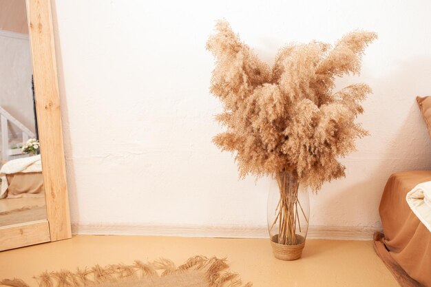 Foto pampas canne in un vaso di vetro beige interior pianta design moda decorazione erba secca