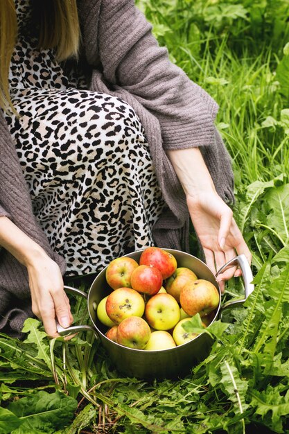 Pan of apples