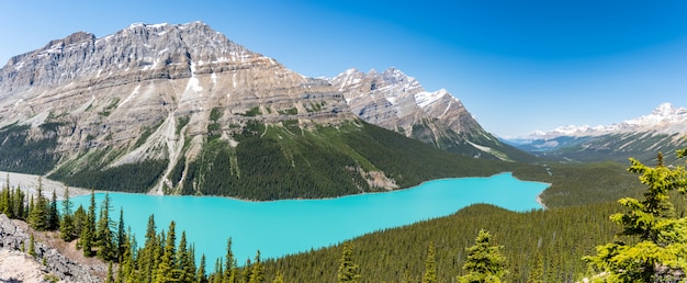 Foto panarama del lago payto in estate, giorno soleggiato dalla cima del sentiero in alberta, canada