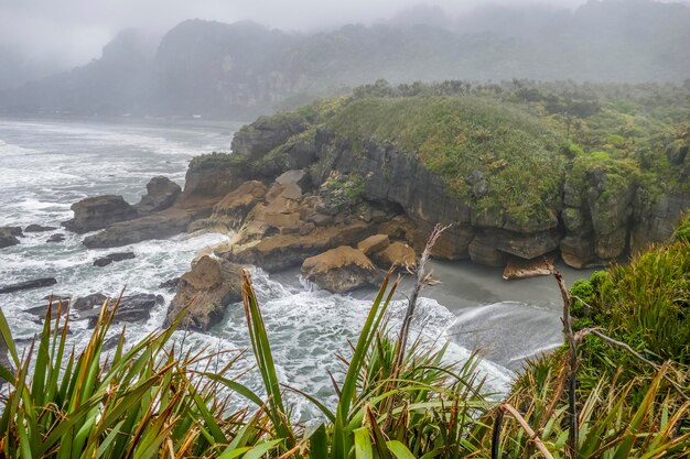 Photo pancake rocks in new zealand