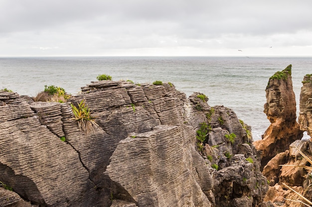 Pancake rocks peaked rocce parco nazionale paparoa isola del sud della nuova zelanda